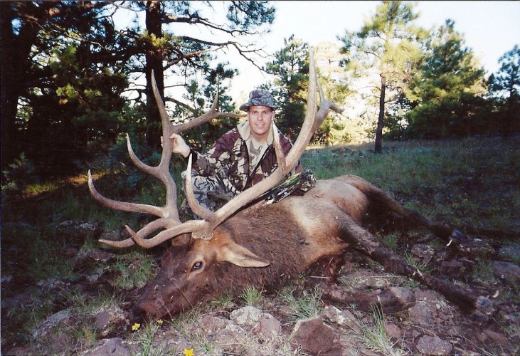 AZ Elk 1999.jpg