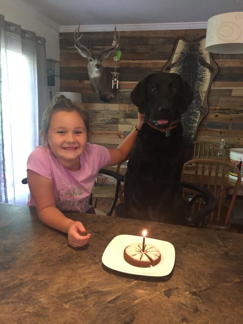 MAX'S 1st BIRTHDAY .JPG MAX'S 1st BIRTHDAY .JPG