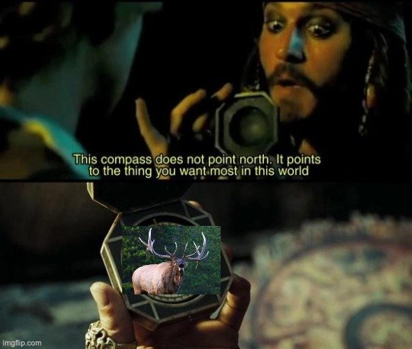 Jack Sparrow Meme.jpeg
