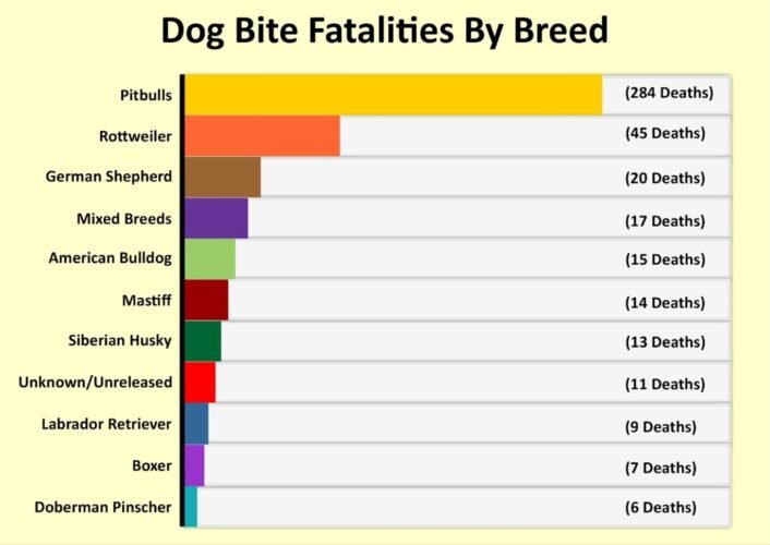 Dog-Bite-Statistics-scaled.jpg