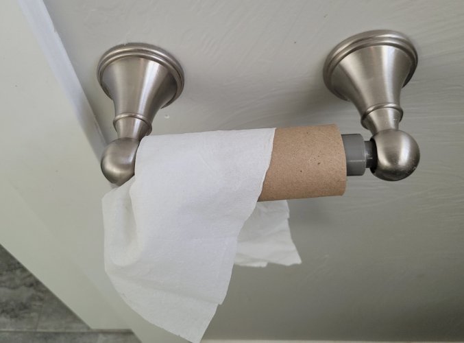 tp role.jpg tp role.jpg