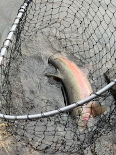 IMG_0660.jpg