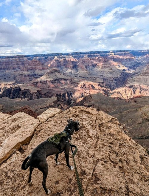 18471.jpeg 18471.jpeg