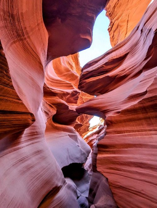 18617.jpeg 18617.jpeg