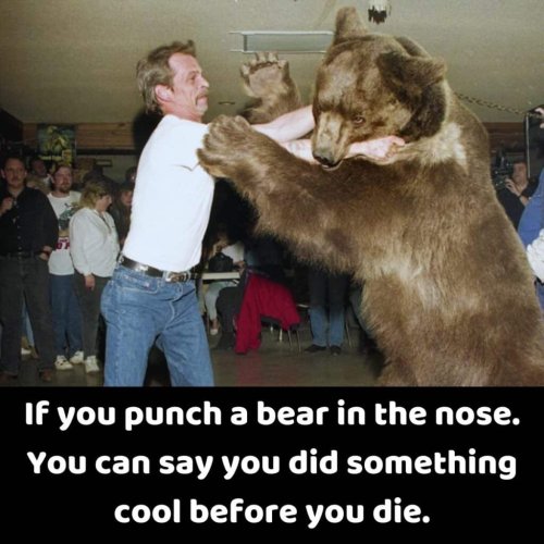 B2B403BF-CB8F-412B-8D3D-F89CAD8C1577.jpeg