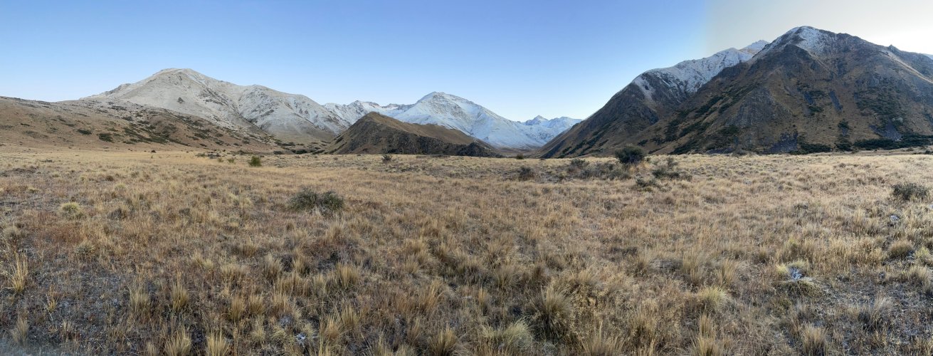 Molesworth View.jpg