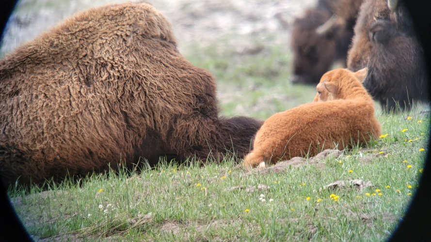 20230526_104638.jpg 20230526_104638.jpg