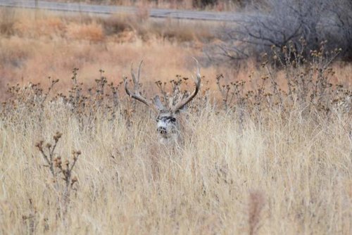 DSC_0048.jpg