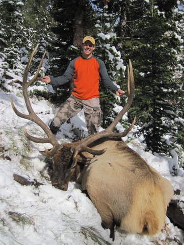 14elk.jpg