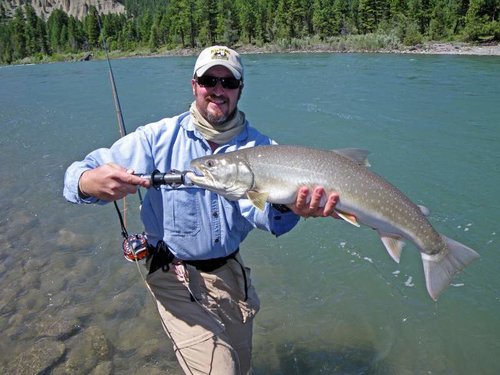 Bull Trout_10lbs_TH.jpg