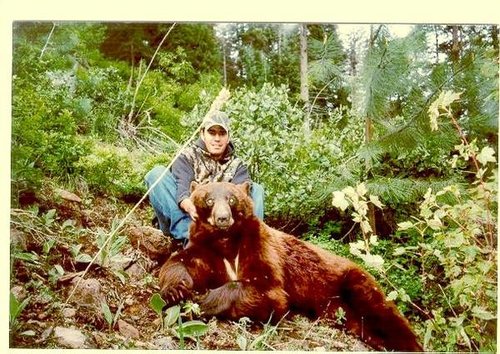 bear11.jpg bear11.jpg