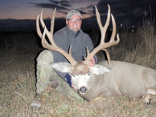 Muley.jpg Muley.jpg