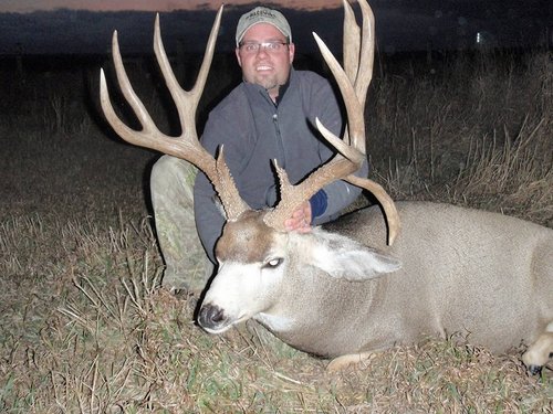 Muley 2.jpg Muley 2.jpg
