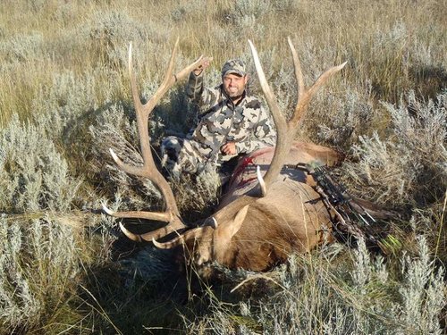 elk.jpg elk.jpg