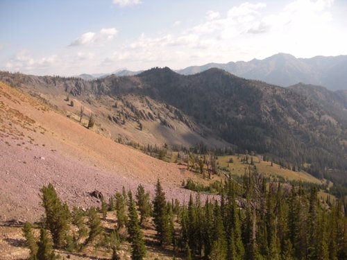 image2.JPG