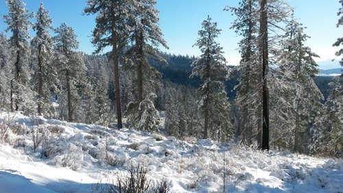 20141230_114528 (800x450).jpg 20141230_114528 (800x450).jpg