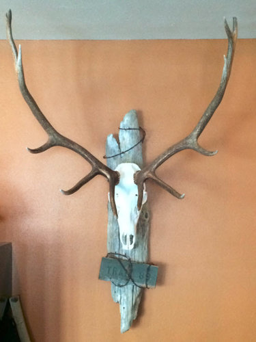 Elk Euro Mount_EMAIL.JPG