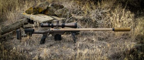 IMG_9936a.jpg IMG_9936a.jpg