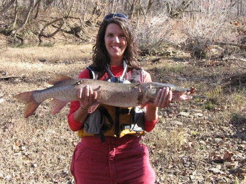 amyfish.jpg amyfish.jpg