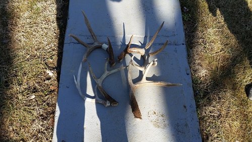 sheds.jpg
