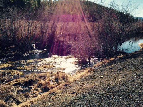 BeaverDam.jpg BeaverDam.jpg