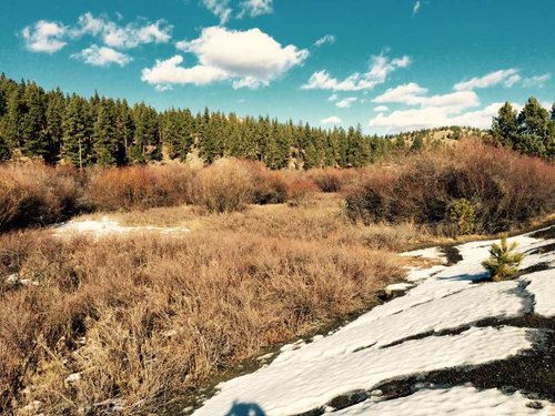 Whitetail_Country.jpg Whitetail_Country.jpg