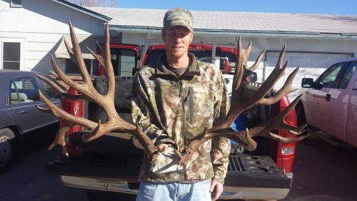 BRett Ross buck.jpg BRett Ross buck.jpg