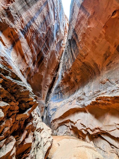 19274.jpeg 19274.jpeg