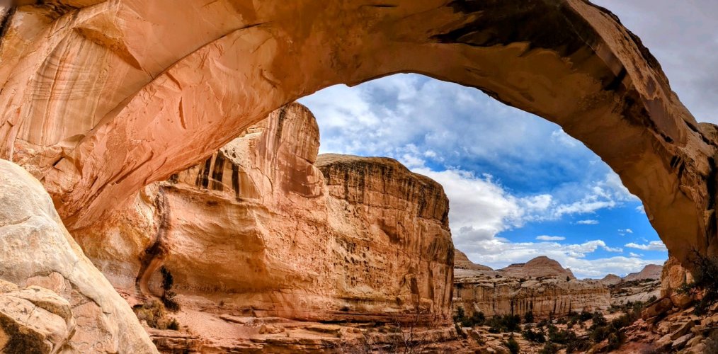 19315.jpeg 19315.jpeg