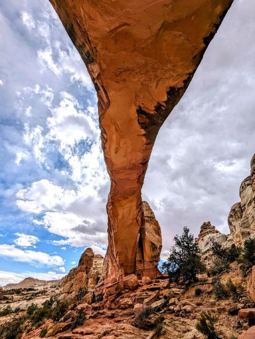 19316.jpeg 19316.jpeg