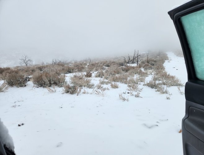 Screenshot_20240331_231332_Gallery.jpg Screenshot_20240331_231332_Gallery.jpg