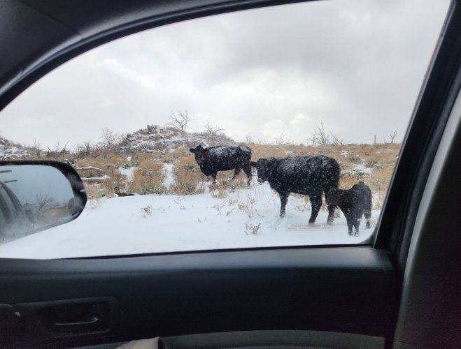 Screenshot_20240331_231341_Gallery.jpg Screenshot_20240331_231341_Gallery.jpg