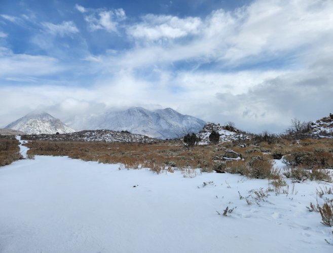 Screenshot_20240331_231353_Gallery.jpg Screenshot_20240331_231353_Gallery.jpg