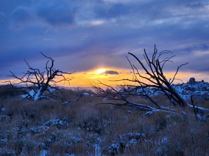 Screenshot_20240331_231435_Gallery.jpg Screenshot_20240331_231435_Gallery.jpg