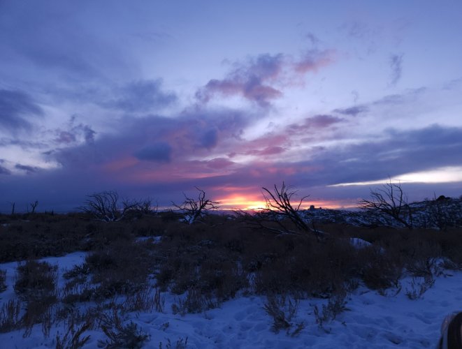 Screenshot_20240331_231455_Gallery.jpg Screenshot_20240331_231455_Gallery.jpg