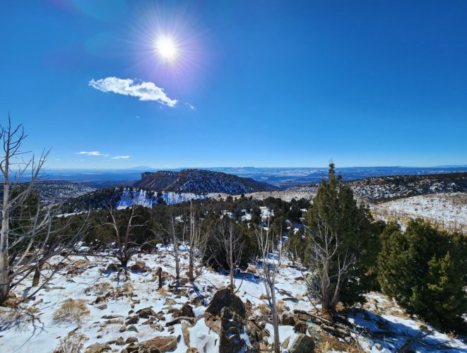 Screenshot_20240331_231543_Gallery.jpg Screenshot_20240331_231543_Gallery.jpg