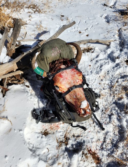 Screenshot_20240331_231550_Gallery.jpg Screenshot_20240331_231550_Gallery.jpg