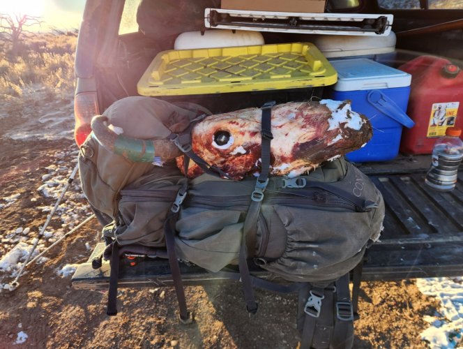 Screenshot_20240331_231613_Gallery.jpg Screenshot_20240331_231613_Gallery.jpg