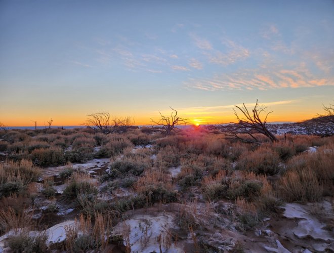 Screenshot_20240331_231618_Gallery.jpg Screenshot_20240331_231618_Gallery.jpg