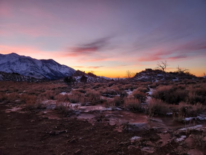 Screenshot_20240402_223815_Gallery.jpg Screenshot_20240402_223815_Gallery.jpg