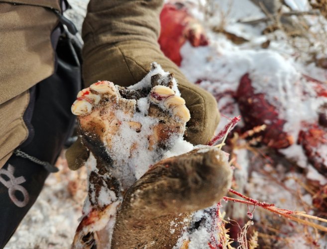 Screenshot_20240402_223836_Gallery.jpg Screenshot_20240402_223836_Gallery.jpg