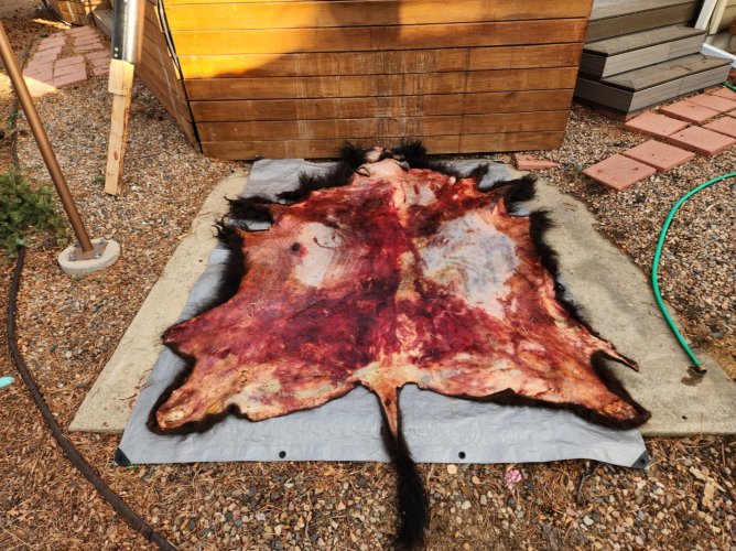 Screenshot_20240402_224557_Gallery.jpg Screenshot_20240402_224557_Gallery.jpg