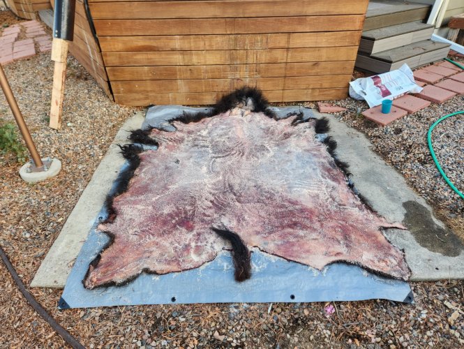 Screenshot_20240402_224601_Gallery.jpg Screenshot_20240402_224601_Gallery.jpg