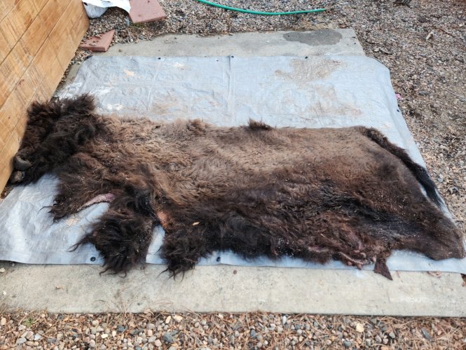 Screenshot_20240402_224606_Gallery.jpg Screenshot_20240402_224606_Gallery.jpg