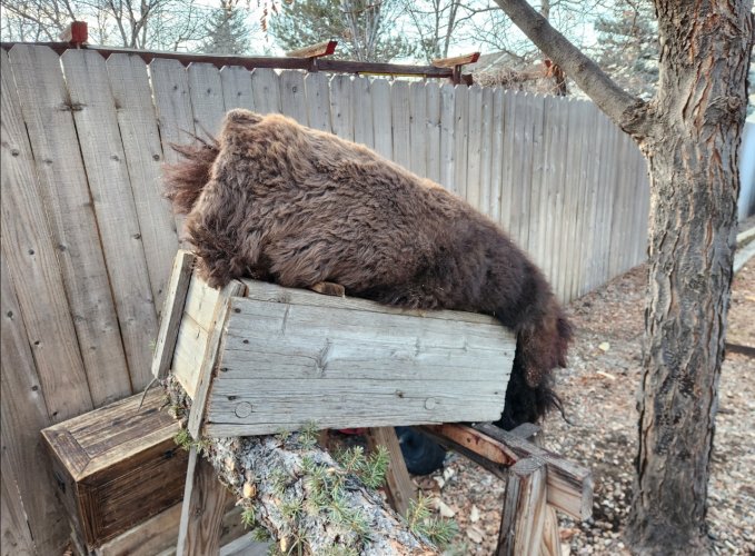 Screenshot_20240402_224614_Gallery.jpg Screenshot_20240402_224614_Gallery.jpg