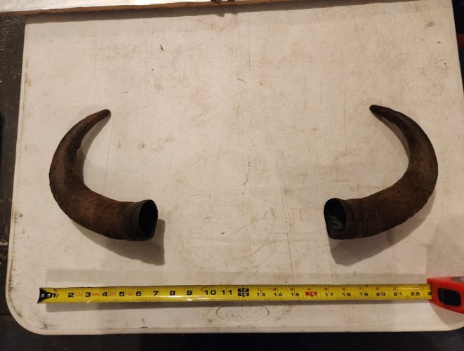 Screenshot_20240402_225618_Gallery.jpg Screenshot_20240402_225618_Gallery.jpg