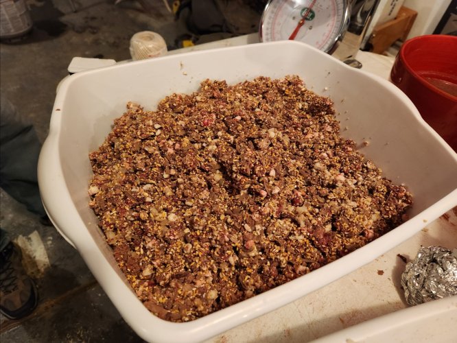 Screenshot_20240402_224211_Gallery.jpg Screenshot_20240402_224211_Gallery.jpg