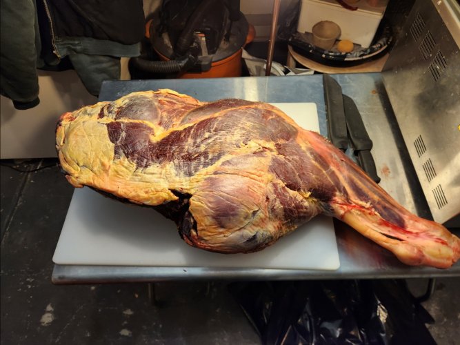 Screenshot_20240402_224404_Gallery.jpg Screenshot_20240402_224404_Gallery.jpg