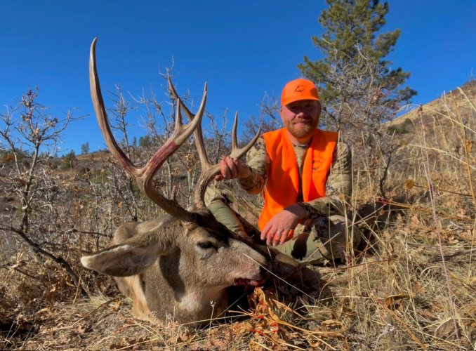 Colorado Muley.jpg