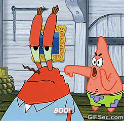 giphy.gif